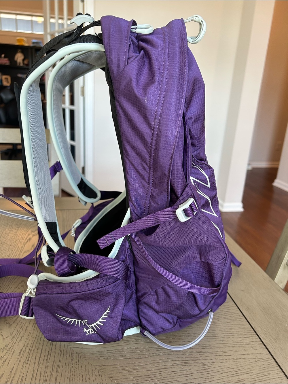 OSPREY Tempest 9 Daypack - Excellent condition - Picture 4 of 13